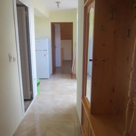 公寓 Tatjana 内塞伯尔