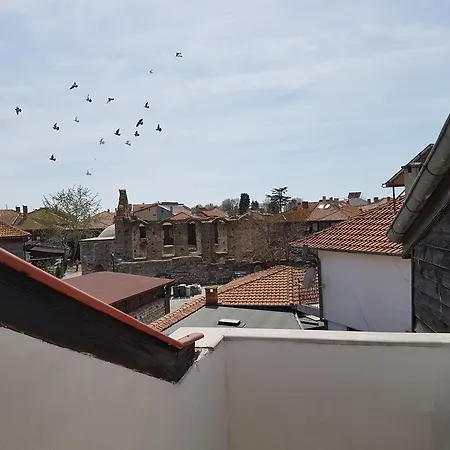 Tatjana 内塞伯尔